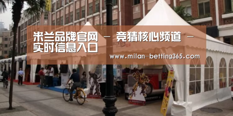 案例标题九