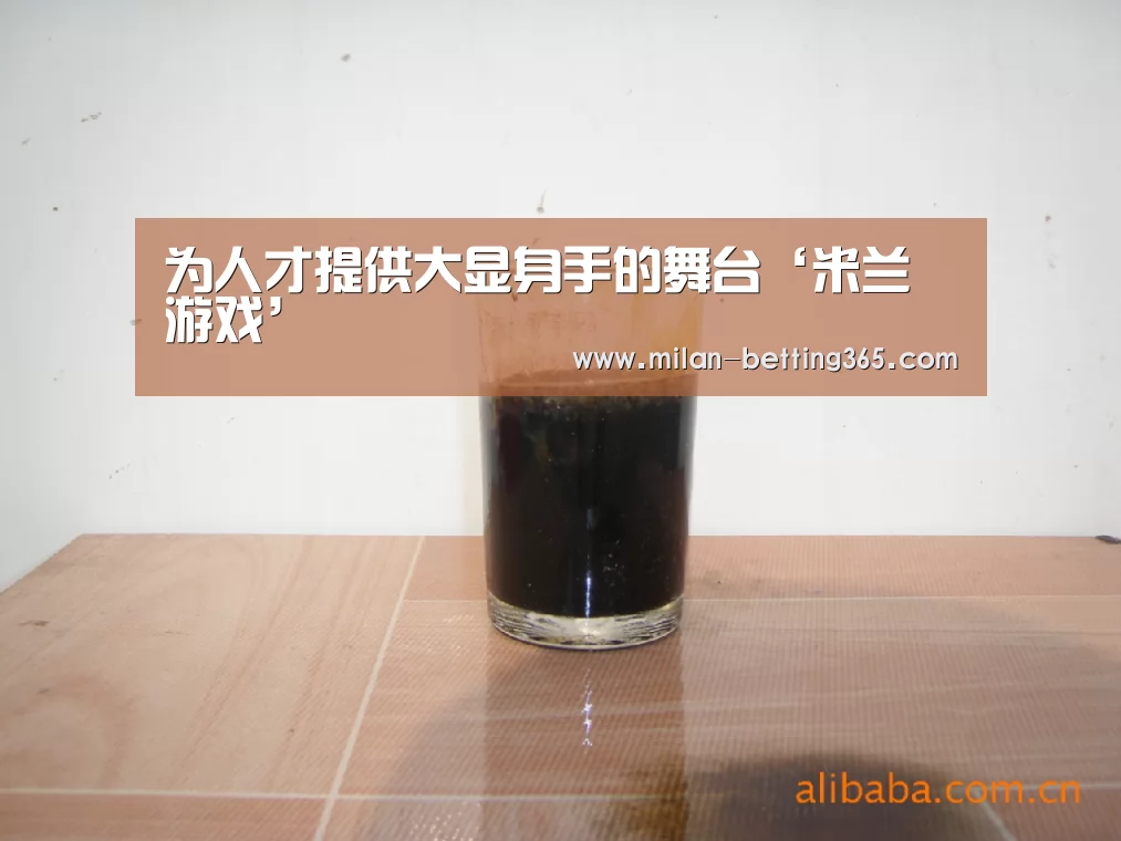 为人才提供大显身手的舞台‘米兰游戏’(图3) 米兰快讯