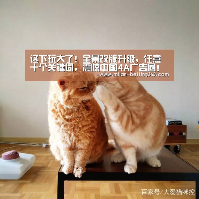 米兰快讯