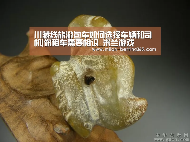 川藏线旅游包车如何选择车辆和司机|你租车需要相识_米兰游戏(图1) 米兰游戏