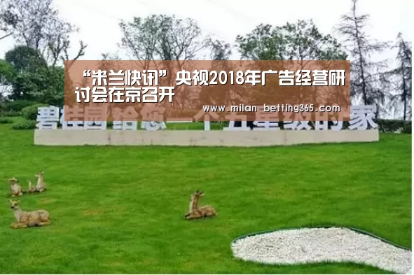 “米兰快讯”央视2018年广告经营研讨会在京召开(图1) 米兰游戏
