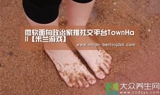 微软面向政治家推社交平台TownHall【米兰游戏】(图3) 米兰首页
