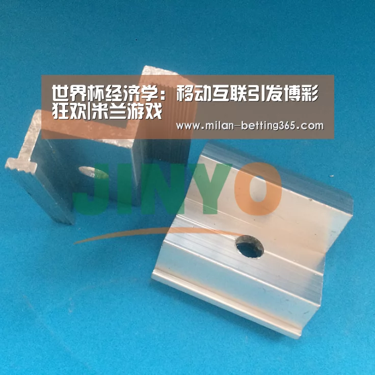 世界杯经济学:移动互联引发博彩狂欢|米兰游戏(图1) 米兰赛事