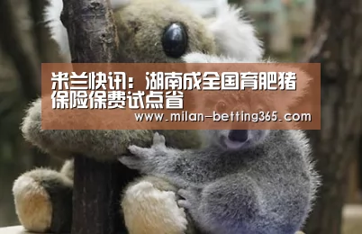 米兰快讯